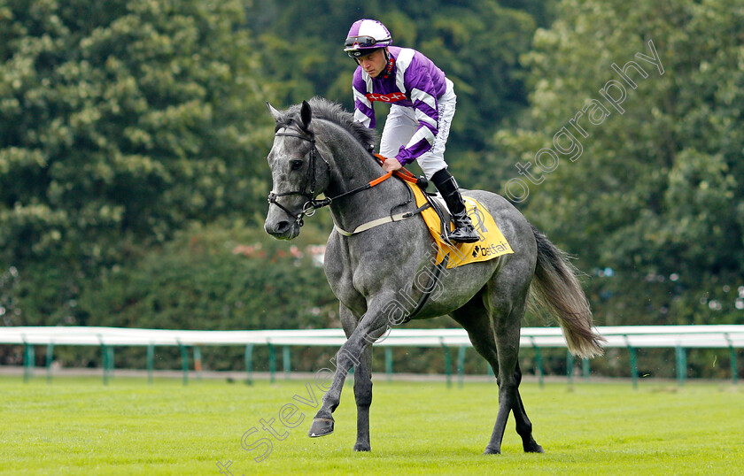 Contact-0002 
 CONTACT (Ray Dawson)
Haydock 4 Sep 2021 - Pic Steven Cargill / Racingfotos.com