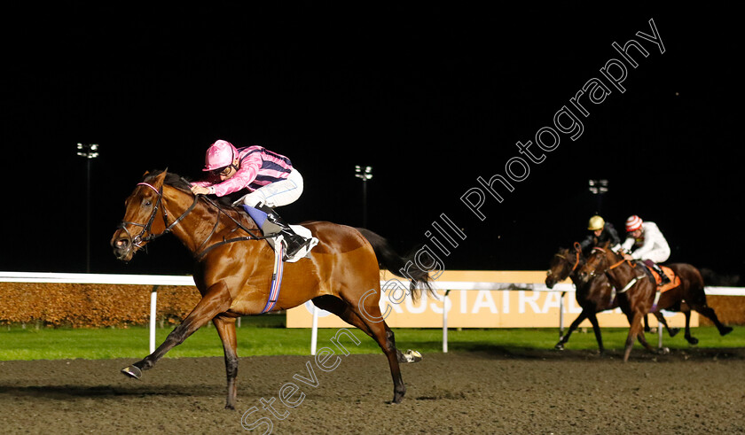 Bowmark-0001 
 BOWMARK (Kieran Shoemark) wins The Unibet EBF Novice Stakes Div2
Kempton 4 Dec 2024 - pic Steven Cargill / Racingfotos.com