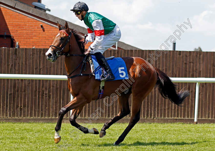 Primo-0001 
 PRIMO (James Doyle) 
Leicester 1 Jun 2021 - Pic Steven Cargill / Racingfotos.com