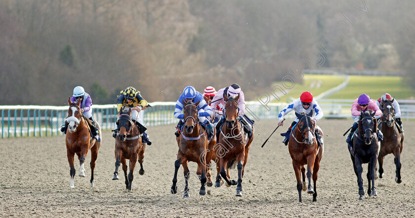 Lucky-Ava-0001 
 LUCKY AVA (3rd left, Martin Dwyer) beats KINDERDIJK (2nd right) in The Get Your Ladbrokes Daily Odds Boost Handicap
Lingfield 29 Jan 2021 - Pic Steven Cargill / Racingfotos.com