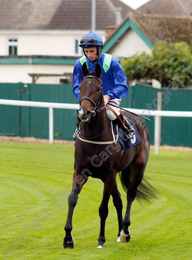 Volcanology-0002 
 VOLCANOLOGY (Rossa Ryan)
Yarmouth 21 Sep 2023 - Pic Steven Cargill / Racingfotos.com