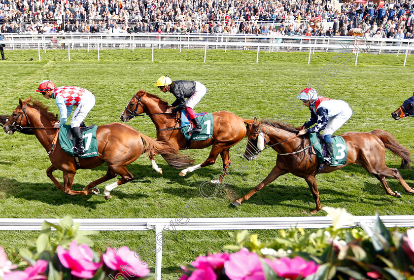 Stradivarius-0002 
 STRADIVARIUS (centre, Frankie Dettori) on his way to winning The Weatherbys Hamilton Lonsdale Cup
York 24 Aug 2018 - Pic Steven Cargill / Racingfotos.com