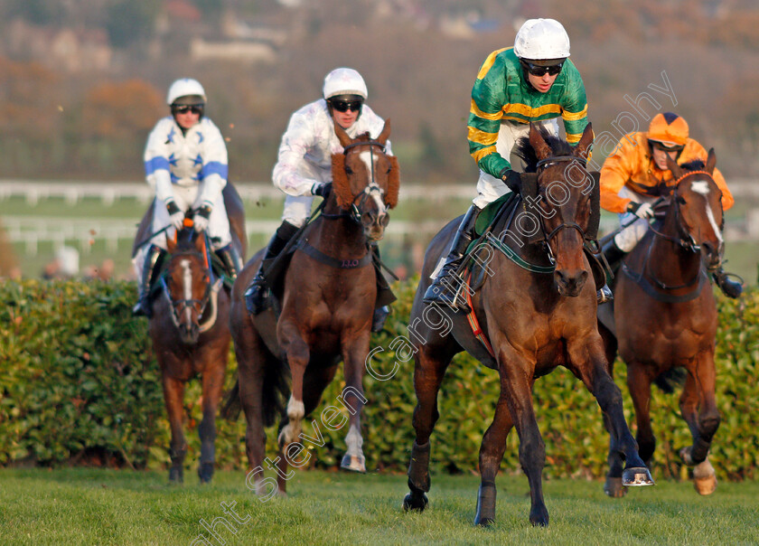 Cantlow 
 CANTLOW (Mark Walsh) Cheltenham 17 Nov 2017 - Pic Steven Cargill / Racingfotos.com