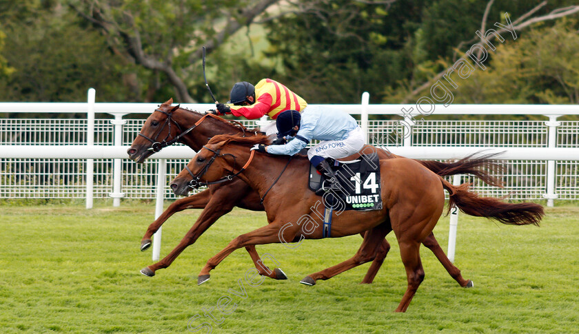 Sir-Ron-Priestley-0006 
 SIR RON PRIESTLEY (farside, Franny Norton) beats DURSTON (nearside) in The Unibet Handicap
Goodwood 31 Jul 2019 - Pic Steven Cargill / Racingfotos.com