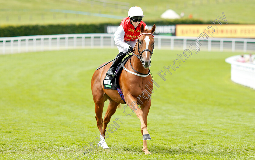 Khunan-0001 
 KHUNAN (Hollie Doyle)
Goodwood 29 Jul 2021 - Pic Steven Cargill / Racingfotos.com