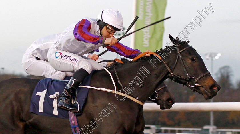 Dark-Regard-0006 
 DARK REGARD (P J McDonald) wins The Ladbrokes Nursery
Wolverhampton 26 Nov 2019 - Pic Steven Cargill / Racingfotos.com