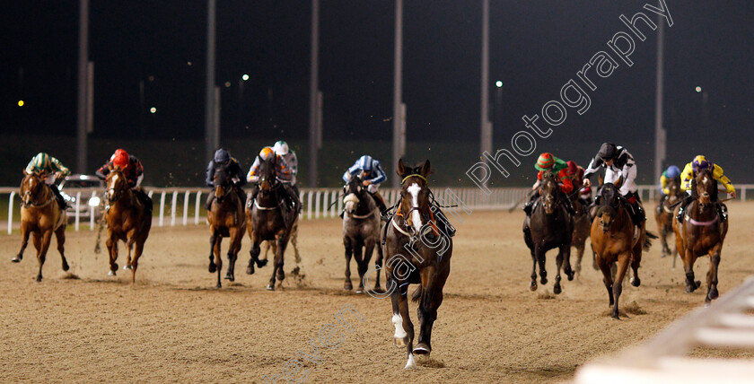 Strawberry-Jack-0001 
 riderless FIGHTING TEMERAIRE leads home the field in the Bet totescoop6 At totesport.com Handicap won by Strawberry Jack (2nd right)
Chelmsford 19 Nov 2019 - Pic Steven Cargill / Racingfotos.com