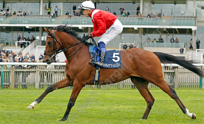 Eben-Shaddad-0001 
 EBEN SHADDAD (Benoit de la Sayette)
Newmarket 28 Sep 2023 - Pic Steven Cargill / Racingfotos.com