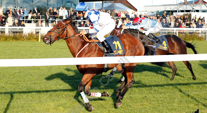 Ambiance-0005 
 AMBIANCE (Rafael De Oliveira) wins The Bro Park Sprint Championship
Bro Park, Sweden 23 Sep 2018 - Pic Steven Cargill / Racingfotos.com