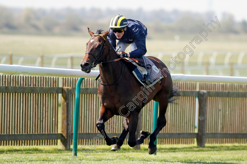 Sakheer-0002 
 SAKHEER (David Egan) racecourse gallop
Newmarket 18 Apr 2023 - Pic Steven Cargill / Racingfotos.com