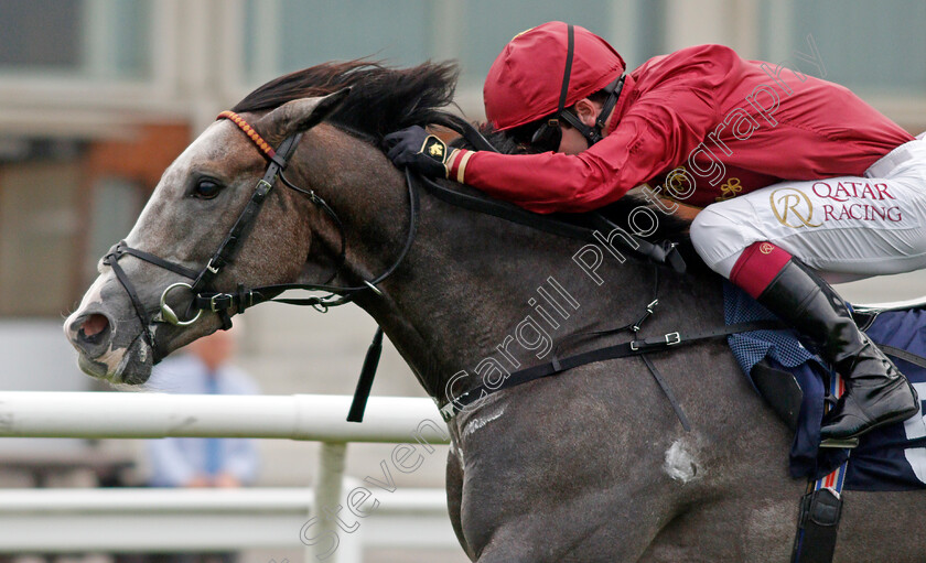 Lost-In-Space-0009 
 LOST IN SPACE (Oisin Murphy) wins The Betway Novice Stakes
Lingfield 14 Aug 2020 - Pic Steven Cargill / Racingfotos.com