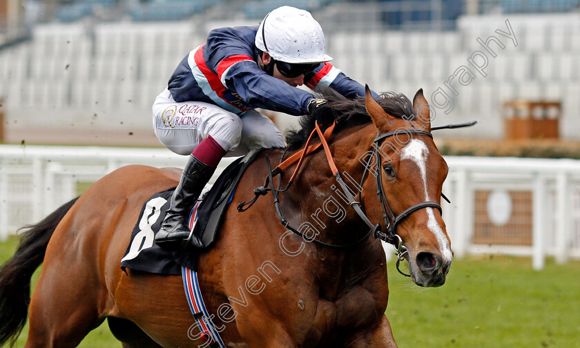 Sir-Busker-0001 
 SIR BUSKER (Oisin Murphy)
Ascot 28 Apr 2021 - Pic Steven Cargill / Racingfotos.com