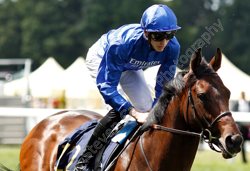 Pinatubo-0001 
 PINATUBO (James Doyle) before The Chesham Stakes
Royal Ascot 22 Jun 2019 - Pic Steven Cargill / Racingfotos.com