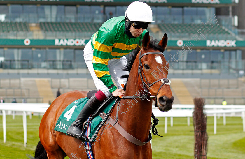 Phoenix-Way-0003 
 PHOENIX WAY (Aidan Coleman)
Aintree 8 Apr 2021 - Pic Steven Cargill / Racingfotos.com