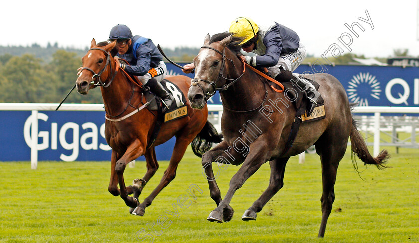 Speak-In-Colours-0003 
 SPEAK IN COLOURS (Ryan Moore) wins The Twinings Novice Auction Stakes Div1 Ascot 8 Sep 2017 - Pic Steven Cargill / Racingfotos.com