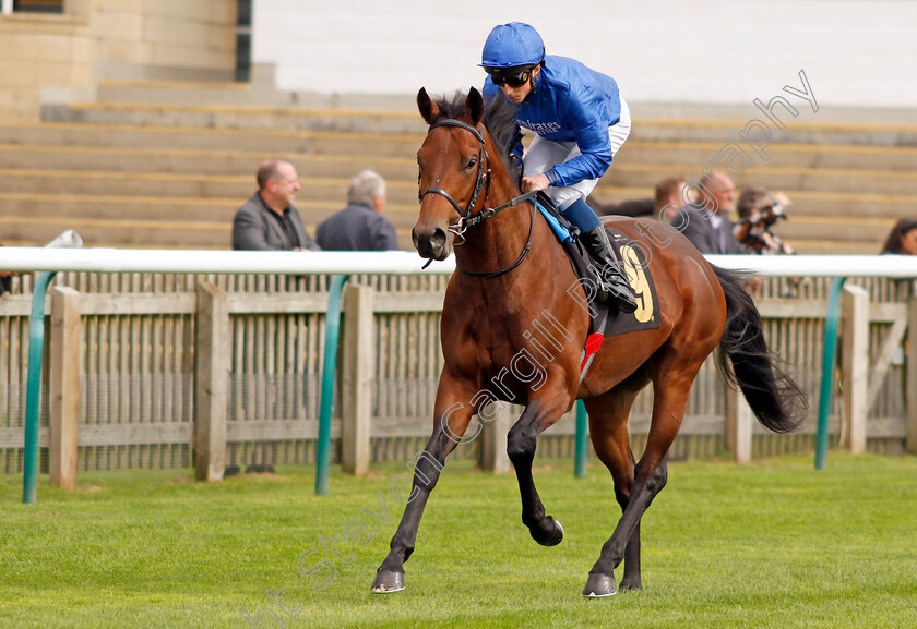 Duke s-Command-0001 
 DUKE'S COMMAND (William Buick)
Newmarket 28 Sep 2023 - Pic Steven Cargill / Racingfotos.com