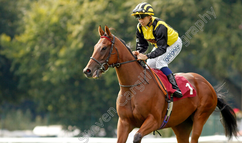 Zouky-0007 
 ZOUKY (Marco Ghiani) winner of The British EBF Fillies Novice Stakes
Haydock 2 Sep 2022 - Pic Steven Cargill / Racingfotos.com