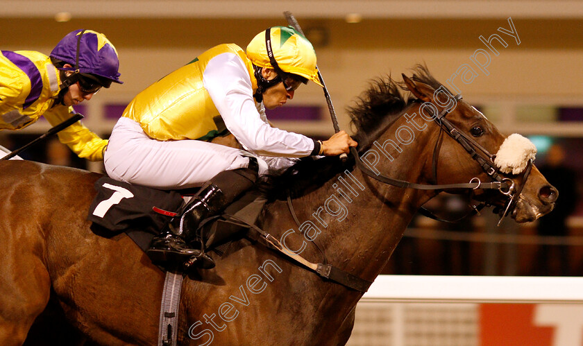 Pinnata-0002 
 PINNATA (Sean Levey) wins The Bet In Play At totesport.com Handicap
Chelmsford 29 Nov 2018 - Pic Steven Cargill / Racingfotos.com