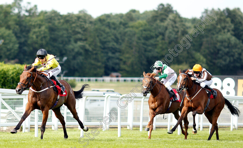 Beringer-0002 
 BERINGER (Martin Harley) wins The Beck Handicap
Sandown 15 Jun 2018 - Pic Steven Cargill / Racingfotos.com