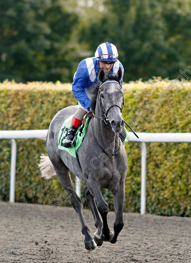 Khabeerah-0001 
 KHABEERAH (Andrea Atzeni)
Kempton 7 Aug 2019 - Pic Steven Cargill / Racingfotos.com