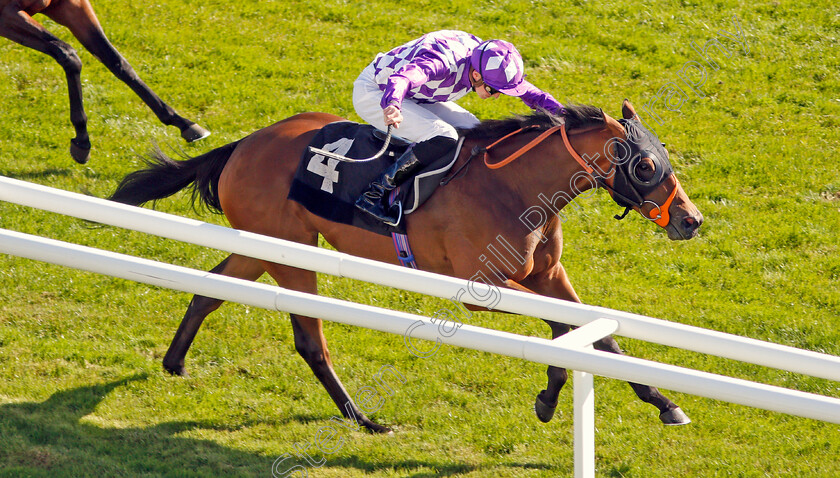 Separate-0005 
 SEPARATE (James Doyle) wins The Dubai Duty Free Nursery
Newbury 20 Spe 2019 - Pic Steven Cargill / Racingfotos.com