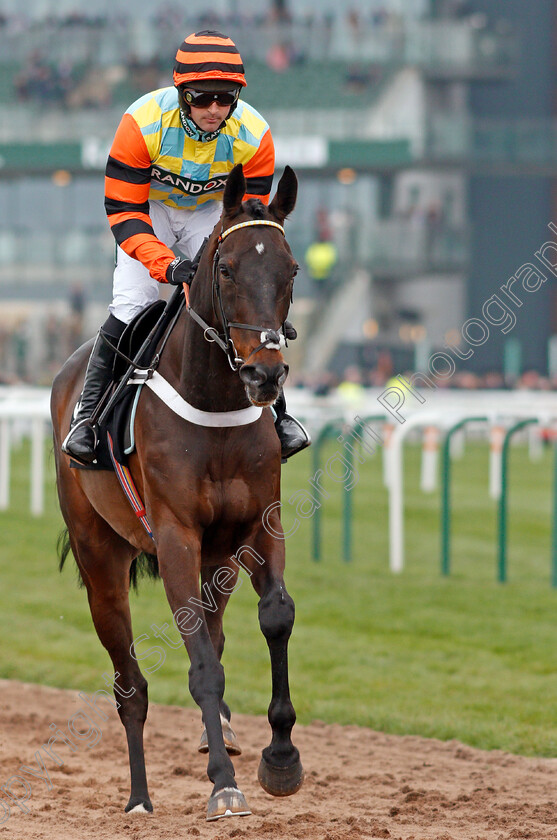 Might-Bite-0002 
 MIGHT BITE (Nico de Boinville) winner of The Betway Bowl Chase Aintree 12 Apr 2018 - Pic Steven Cargill / Racingfotos.com