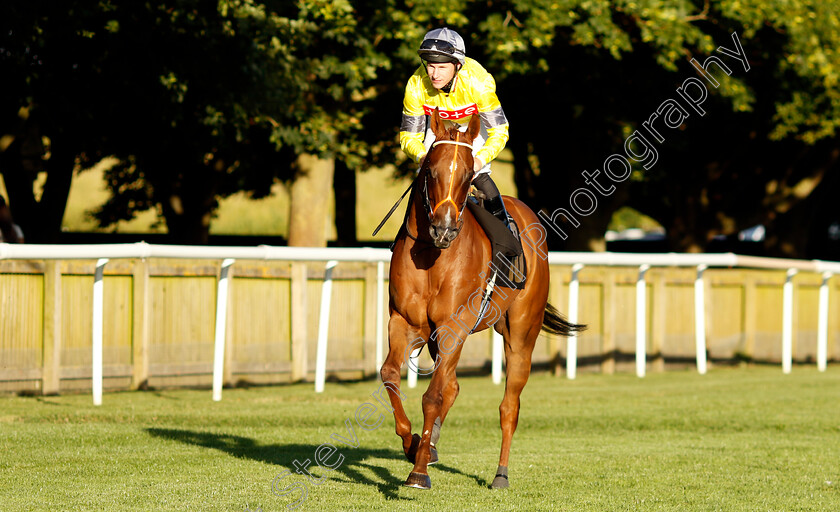 Spring-Bloom-0005 
 SPRING BLOOM (Richard Kingscote) winner of The Maritime Cargo Services Outperforming The Oppositin Handicap
Newmarket 9 Aug 2024 - Pic Steven Cargill / Racingfotos.com