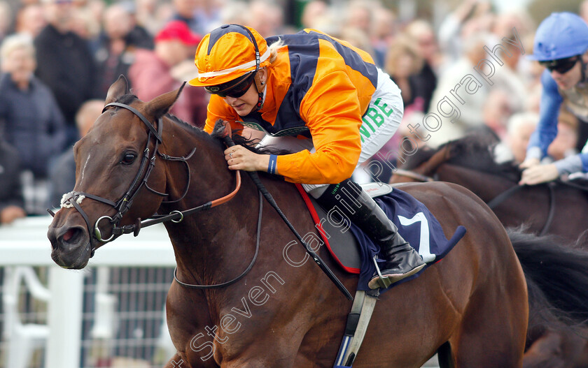 Potters-Lady-Jane-0006 
 POTTERS LADY JANE (Josephine Gordon) wins The British EBF Fillies Handicap
Yarmouth 20 Sep 2018 - Pic Steven Cargill / Racingfotos.com