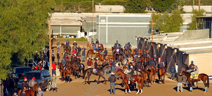 Auguste-Rodin-0001 
 Horses waiting to train for The Breeders' Cup, including AUGUSTE RODIN (301)
Santa Anita USA, 31 October 2023 - Pic Steven Cargill / Racingfotos.com