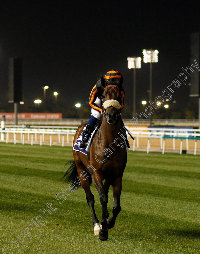 For-The-Top-0001 
 FOR THE TOP (Mickael Barzalona)
Meydan 9 Jan 2020 - Pic Steven Cargill / Racingfotos.com