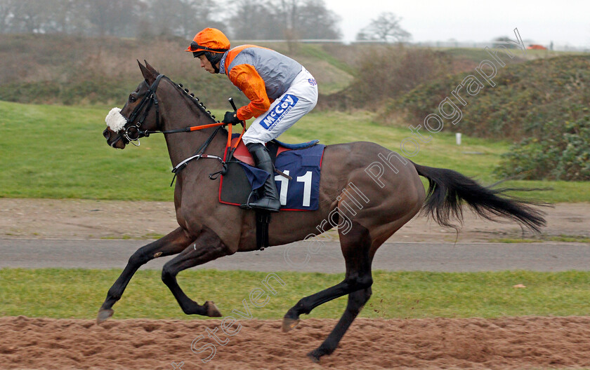 Mighty-Meg-0001 
 MIGHTY MEG (David England)
Chepstow 7 Dec 2019 - Pic Steven Cargill / Racingfotos.com