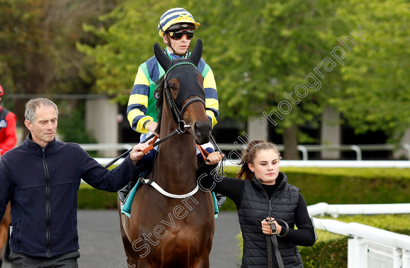 One-Glance-0001 
 ONE GLANCE (David Probert)
Kempton 12 Jun 2024 - Pic Steven Cargill / Racingfotos.com