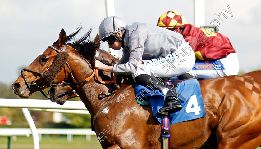 United-Force-0003 
 UNITED FORCE (Ryan Moore) wins The Staropramen Zero Alcohol Handicap
Leicester 29 Apr 2023 - Pic Steven Cargill / Racingfotos.com