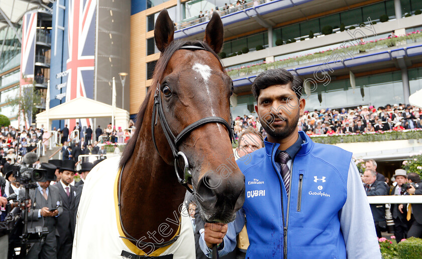 Blue-Point-0015 
 BLUE POINT after The King's Stand Stakes
Royal Ascot 19 Jun 2018 - Pic Steven Cargill / Racingfotos.com