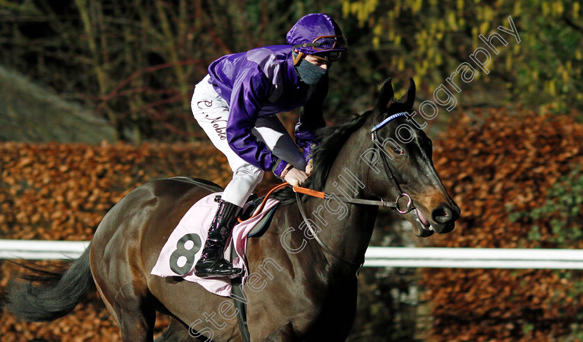 Pequeno-0001 
 PEQUENO (Cameron Noble)
Kempton 13 Jan 2021 - Pic Steven Cargill / Racingfotos.com