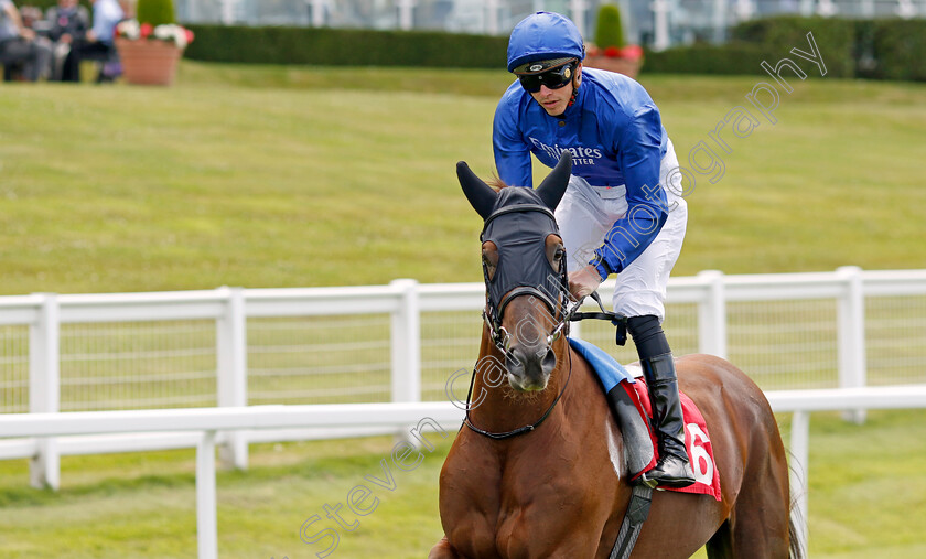 Golden-Speech 
 GOLDEN SPEECH (James Doyle)
Sandown 1 Jul 2022 - Pic Steven Cargill / Racingfotos.com