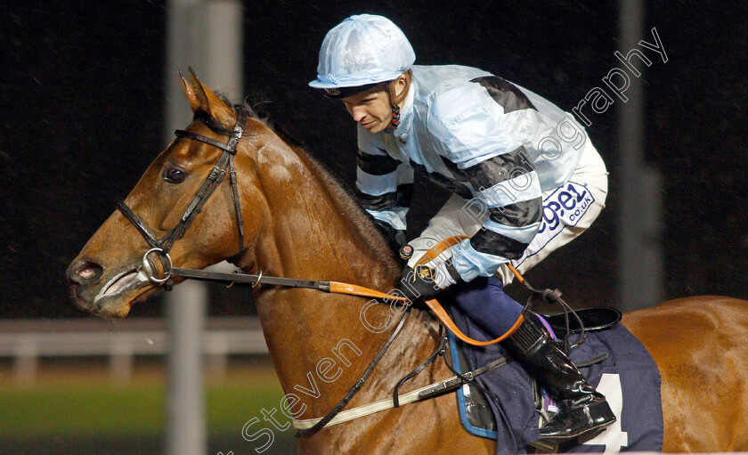 Chairman 
 CHAIRMAN (David Probert)
Wolverhampton 11 Mar 2022 - Pic Steven Cargill / Racingfotos.com