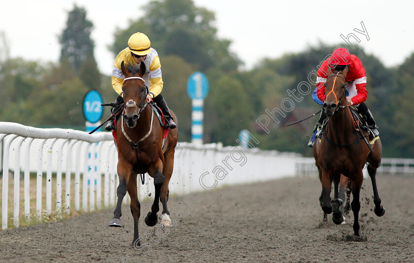 Quiet-Endeavour-0006 
 QUIET ENDEAVOUR (Hollie Doyle) wins The Call Star Sports On 08000 521 321 Nursery
Kempton 15 Aug 2018 - Pic Steven Cargill / Racingfotos.com