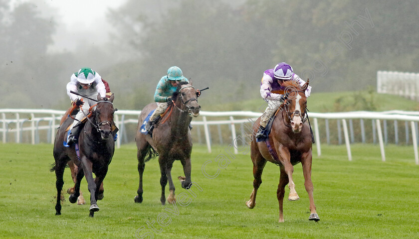 Starzintheireyes-0006 
 STARZINTHEIREYES (Rossa Ryan) wins The British Stallion Studs EBF Novice Stakes
Leicester 10 Sep 2024 - Pic Steven Cargill / Racingfotos.com