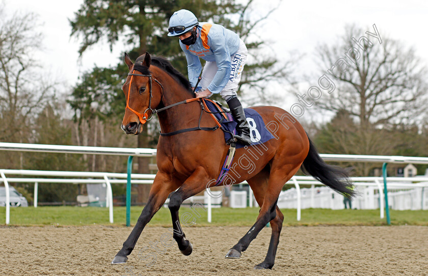 Thank-You-Next-0002 
 THANK YOU NEXT (Ryan Moore)
Lingfield 6 Mar 2021 - Pic Steven Cargill / Racingfotos.com