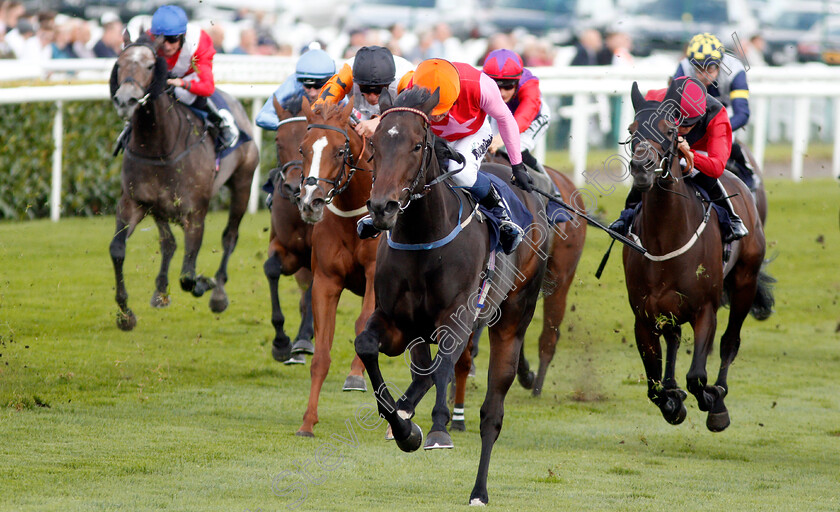 Breathtaking-Look-0002 
 BREATHTAKING LOOK (Jim Crowley) wins The Japan Racing Association Sceptre Stakes
Doncaster 13 Sep 2019 - Pic Steven Cargill / Racingfotos.com