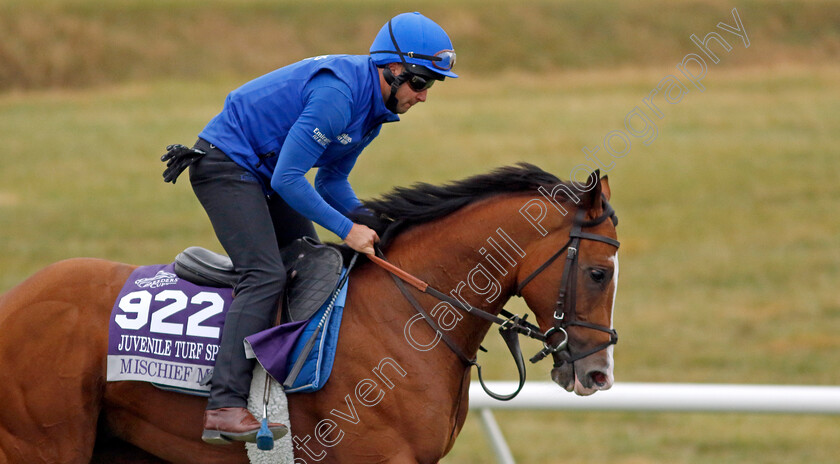 Mischief-Magic-0003 
 MISCHIEF MAGIC training for the Breeders' Cup Juvenile Turf Sprint
Keeneland USA 1 Nov 2022 - Pic Steven Cargill / Racingfotos.com