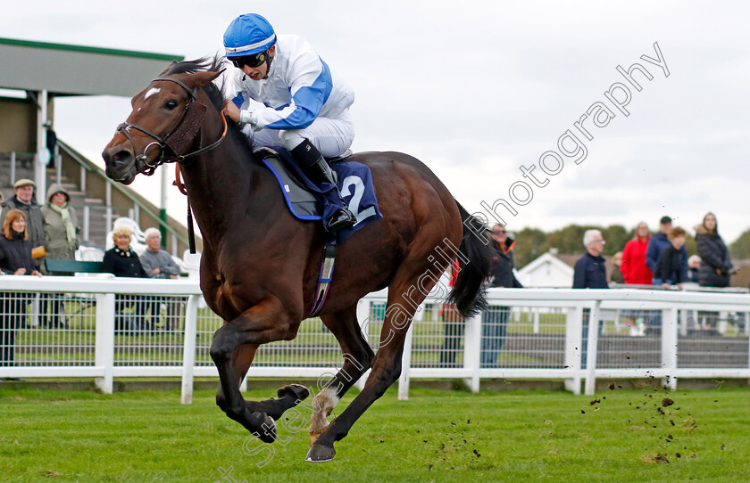 Ideal-Guest-0002 
 IDEAL GUEST (Mikkel Mortensen) wins The Regular Offers On Bresbet.com Handicap
Yarmouth 16 Oct 2023 - Pic Steven Cargill / Racingfotos.com