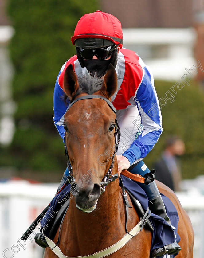 Goodbye-Grass-0001 
 GOODBYE GRASS (Darragh Keenan)
Lingfield 2 Sep 2020 - Pic Steven Cargill / Racingfotos.com