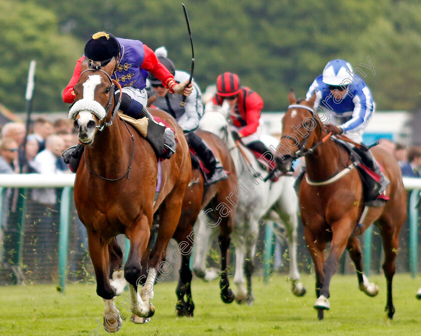 King s-Lynn-0009 
 KING'S LYNN (David Probert) wins The Cazoo Temple Stakes
Haydock 21 May 2022 - Pic Steven Cargill / Racingfotos.com