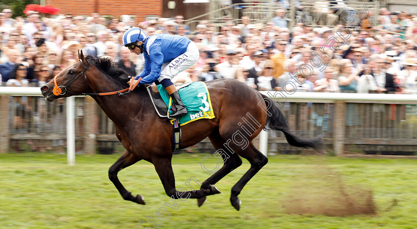 Motakhayyel-0005 
 MOTAKHAYYEL (Chris Hayes) wins The bet365 Mile Handicap
Newmarket 13 Jul 2019 - Pic Steven Cargill / Racingfotos.com