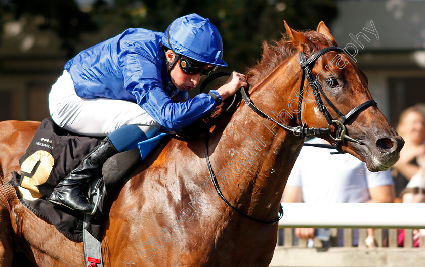 Quintillus-0006 
 QUINTILLUS (William Buick) wins The Watch Every Race Live On Racingtv Handicap
Newmarket 7 Aug 2021 - Pic Steven Cargill / Racingfotos.com