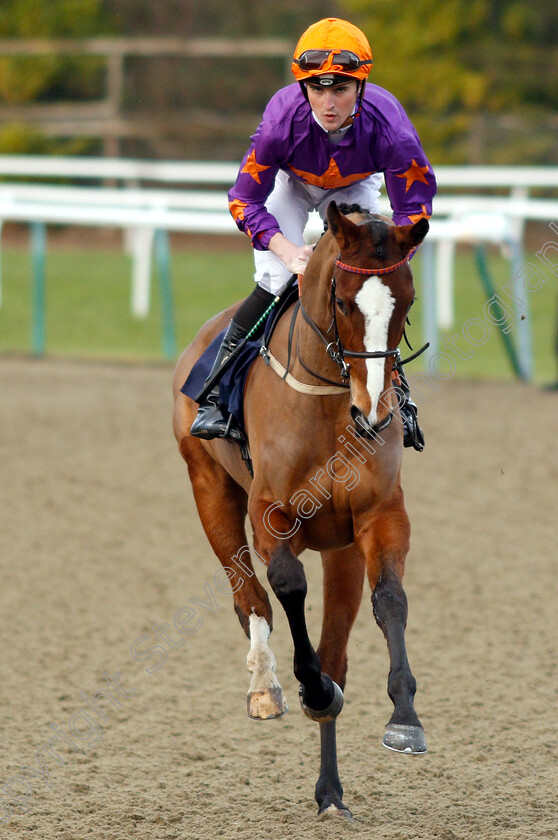 Astrosparkle-0001 
 ASTROSPARKLE (Marc Monaghan)
Lingfield 25 Jan 2019 - Pic Steven Cargill / Racingfotos.com