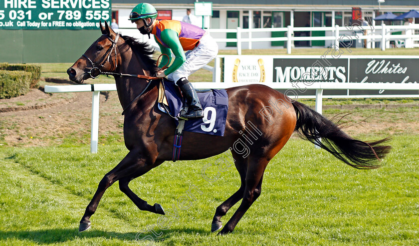 Razor-Glass-0001 
 RAZOR GLASS (Ray Dawson)
Yarmouth 15 Sep 2020 - Pic Steven Cargill / Racingfotos.com