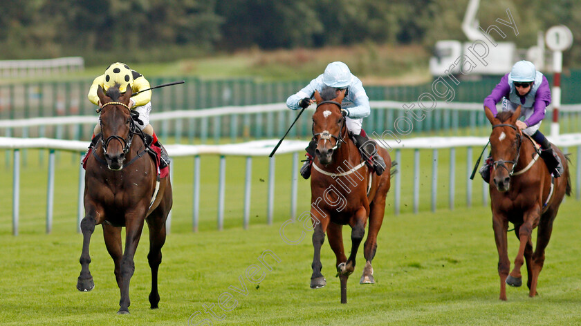 Without-A-Fight-0004 
 WITHOUT A FIGHT (Andrea Atzeni) beats TORONTO (centre) in The Read Ryan Moore Columns On Betting.Betfair Handicap
Haydock 3 Sep 2020 - Pic Steven Cargill / Racingfotos.com